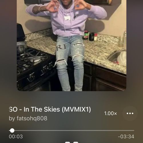 Fatso In The Skies