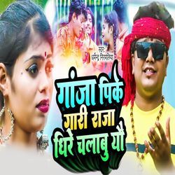 Ganja Pike Gari Raja Dhire Chalabu Yau