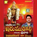 Sannidhiku Irumudithou