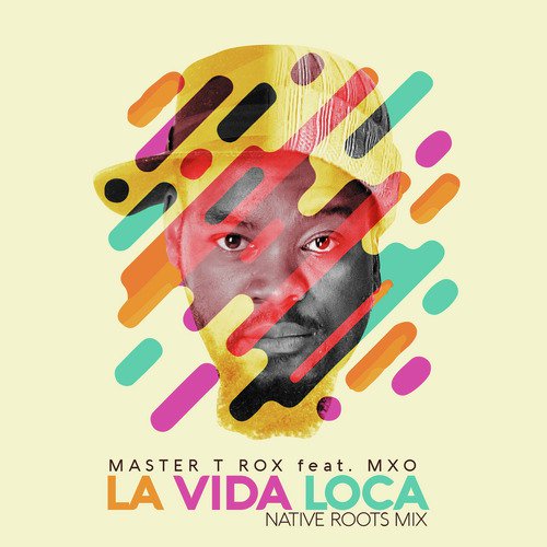 La Vida Loca (Native Roots Mix)_poster_image