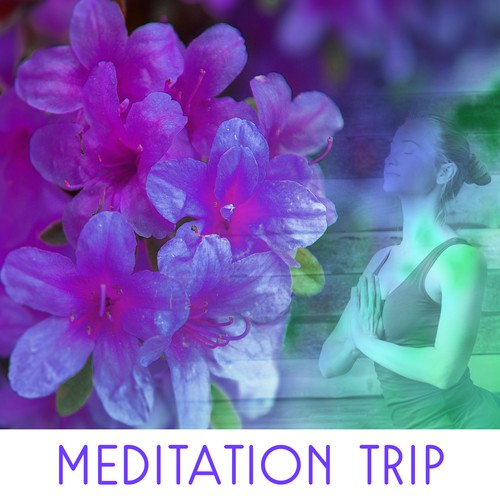 Meditation Trip – Music for Deep Meditation, Yoga, Mantra, Feel Zen at Home