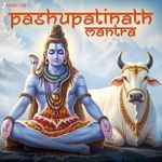 Pashupatinath Mantra