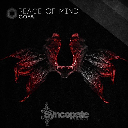 Peace of Mind (Original Mix)