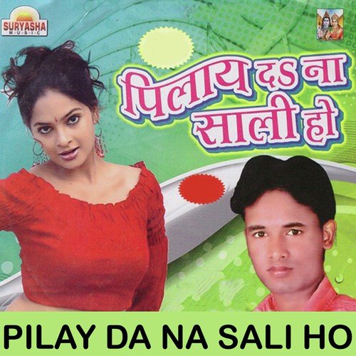 Pilay Da Na Sali Ho_poster_image