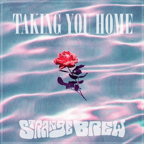 Taking You Home_poster_image