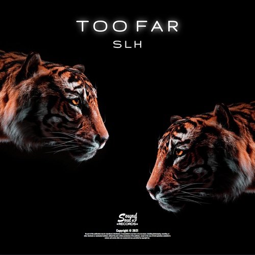 Too Far_poster_image