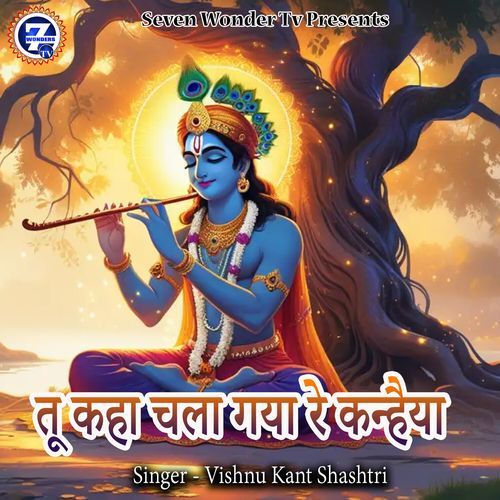 Tu Kaha Chala Gaya Re Kanhaiya