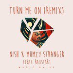 Turn Me on (Remix) [feat. Mumzy Stranger & Raxstar]
