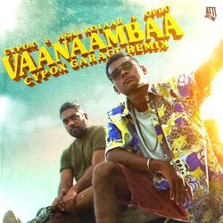 Vaanaambaa (Cypox Garage Remix)