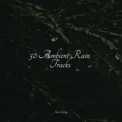 50 Ambient Rain Tracks