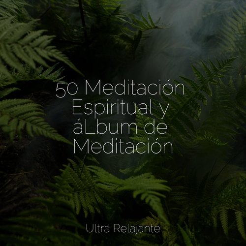 50 Meditación Espiritual y áLbum de Meditación_poster_image