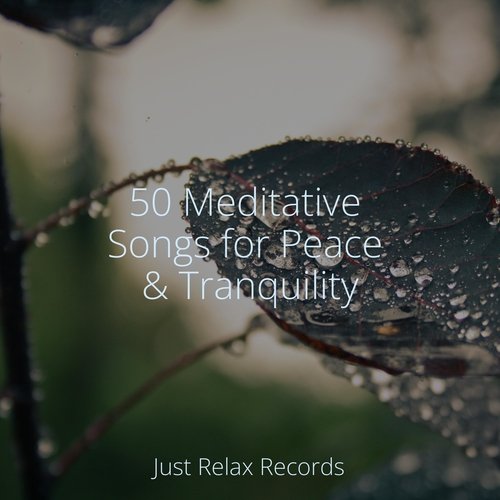 50 Meditative Songs for Peace & Tranquility