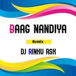 Baag Nandiya Remix artwork