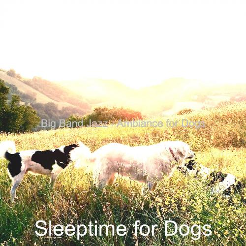 Background for Dogs cover art
