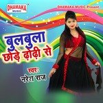 Bulbula Chhode Dhori Se