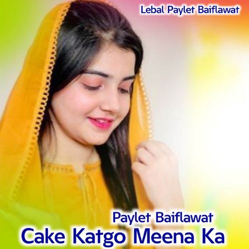 Cake Katgo Meena Ka