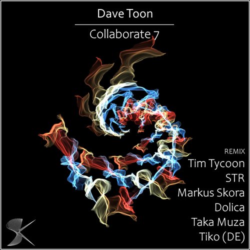 Pallepo (Taka Muza Remix) cover art