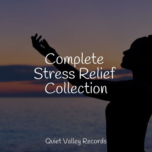 Complete Stress Relief Collection