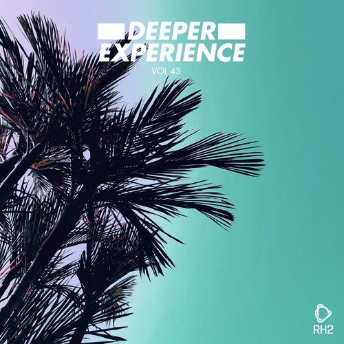 Scars (Analog Trip Remix)