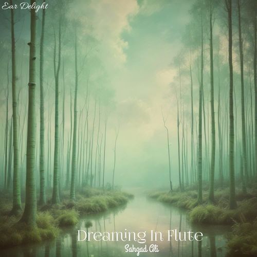 Dreaming In Flute