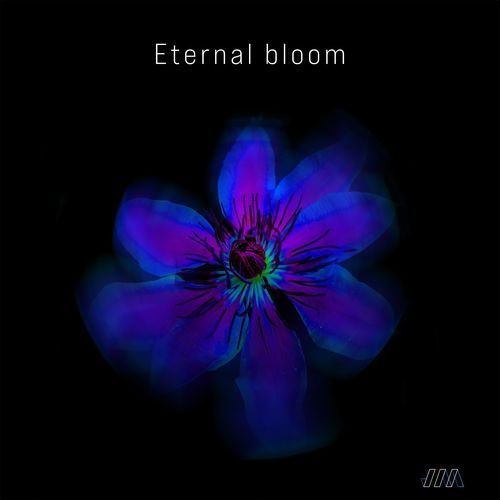 Eternal Bloom