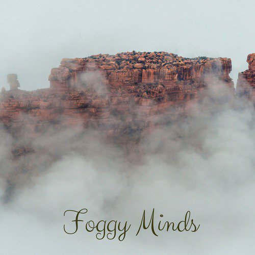 Foggy Minds