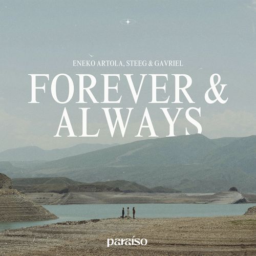 Forever & Always_poster_image