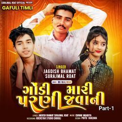 Gondi Mari Parni Javani Part-1