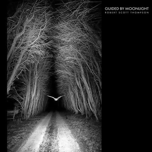 Guided by Moonlight cover art