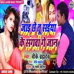 Jai Chhe Tu Saiya Ke Sangwa Ge Jaan