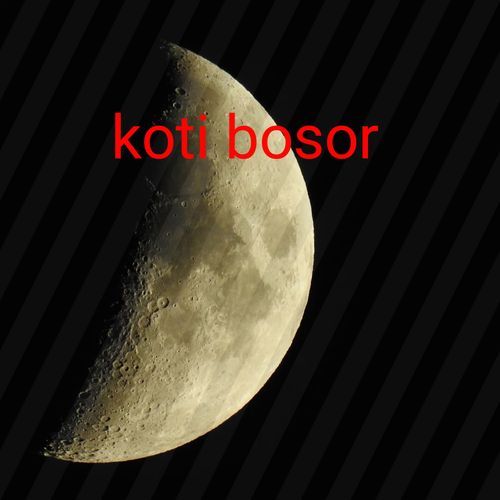Koti bosor