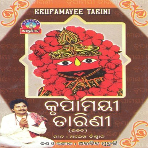 Krupamayee Tarini_poster_image