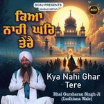 Kya Nahi Ghar Tere