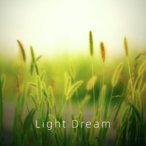 Light Dream