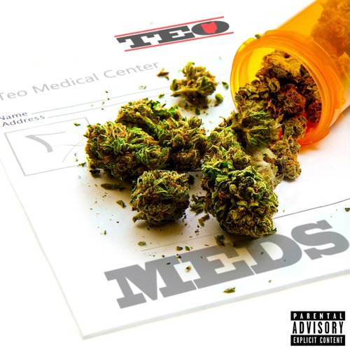 MEDS_poster_image