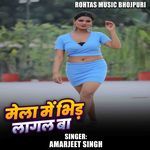 Mela Me Bhid Lagal Ba
