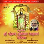 Mugappair Sri Santhana Srinivasa Perumal Mahimai