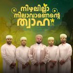 Nizhalilla Nilavaanente Twaha