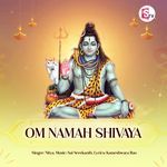 Om Namah Shivaya