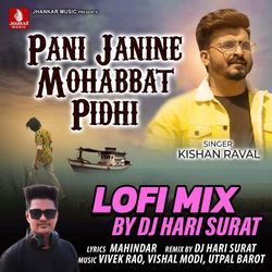 Pani Janine Mohabbat Pidhi Lofi Mix-Fw46Qi1bYgI