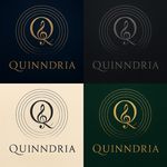Quinndria Determined artwork