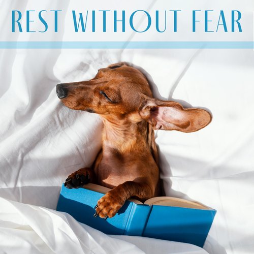 Pet Care Club cover art