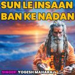 Sun le Insaan Ban Ke Nadan artwork