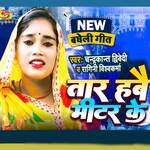 Taar Habai Miter Ke (CD Entertainment)