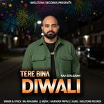 Tere Bina Diwali