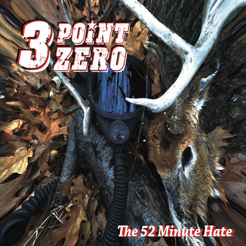 Helmet cover art