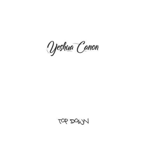 Top Down cover art