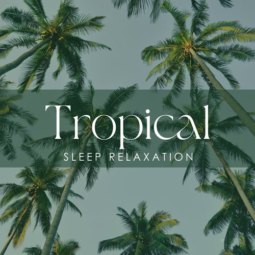 Tropical Sleep Relaxation: Summer Nap Time, Relaxing Music, Exotic Sleepy Soundscapes_poster_image