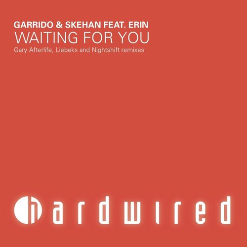 Waiting For You - The Remixes