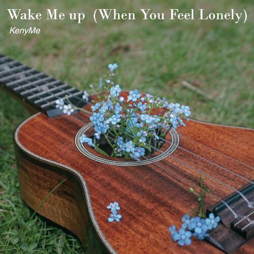 Wake Me up (When You Feel Lonely)